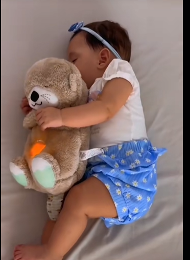 Nutria peluche Anti ansiedad